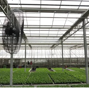 Dlaczego cyrkulacja powietrza w szklarni jest równie ważna jak ogrzewanie?