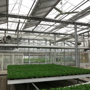 Jak dobrać system wentylacji i cyrkulacji powietrza do szklarni?